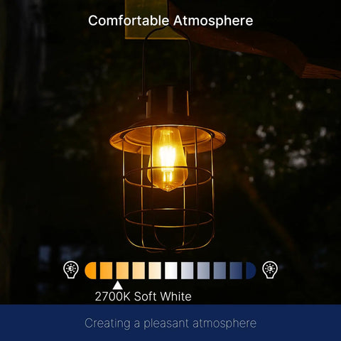 Dusk To Dawn Outdoor Sensor LED Light Bulb ST19 glowing in metal lantern showing 2700K soft white light for outdoor ambiance.