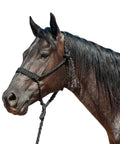 Flat Braided Horse Halter And 9 Foot Lead Rope Set, Durable UV Resistant Colorfast on a horse's head, shown in black.