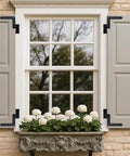 Window with shutters featuring Blind Shutter Hinge for Wood Frame and Brick, steel construction, 2-1/8 inch offset, matte black finish.