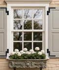 Heavy Duty Steel Blind Shutter Hinges For Wood Frames And Brick Walls Tough As Nails One Inch Offset Power Coated Black Finish Easy Install on window.