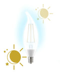 Smart Dusk To Dawn Outdoor LED Bulbs With Auto On Off For Porch Or Yard Daylight Color E12 Candelabra Base lit up with sun and moon icons