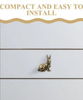 Solid Brass Rabbit Cabinet Pull Set With Vintage Brass Knobs Antique Finish on white kitchen cabinet drawer