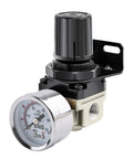 Low Pressure Air Regulator For Air Compressor With Gauge And Bracket One Quarter Inch NPT Female Adjustable AR2000N02