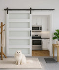 Hella Durable Sliding Barn Door With Smooth Track Hardware Kit For Closets And Hallways Featuring Five Tempered Frosted Glass Panels On A Waterproof PVC Coated Frame Designed For A No Sweat DIY Setup And Rock Solid Feel with a white cat in front of it.