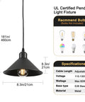 Heavy Duty Black Plug In Pendant Lights 2 Pack Industrial Hanging Lamps With 15 Foot Adjustable Cord And Switch. Black pendant light with adjustable cord.