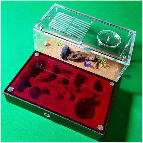 Big Kid Friendly Ant Farm Castle With Plaster And Acrylic Slab Nest, Feeding Area And Workshop Terrarium, Hands On Educational Ecosystem Gift For Curious Minds, 22.3x19.7x9.5 cm