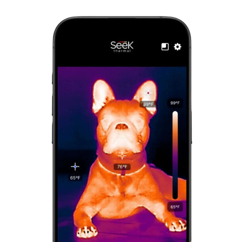 Nano 200 Thermal Camera For iPhone And iOS With USB C Connector, High Resolution 200 X 150 Thermal Imager displaying a dog's heat map.