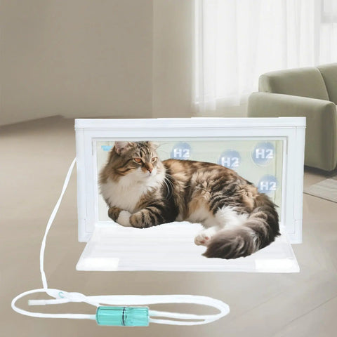 Cat inside Pet Hydrogen Oxygen Inhalation Box for Cats and Dogs, Easy Setup Nebulizer Chamber with H2 symbols on the wall.