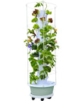 Vertical Hydroponic Tower Garden Kit With Trellis For Indoor And Outdoor Growing 40 Planting Pods Automated Timer in use