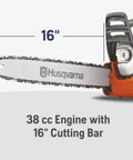 Close-up of Lightweight Gas Chainsaw With 38cc X-Torq Engine, 16 Inch Bar and Automatic Oiler, ideal for homeowners.