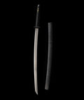 Real Carbon Steel Katana for Iaido Practice and Display, Unsharpened Full Tang Samurai Sword with sheath on black background