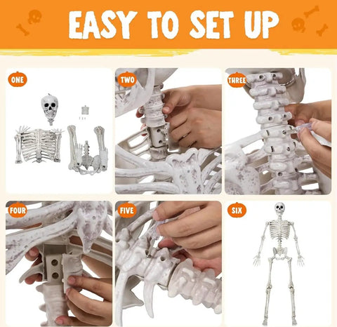 Steps to assemble 6.9 Foot Poseable Life Size Skeleton For Halloween Decor Indoor Outdoor Spooky AF Scene Props