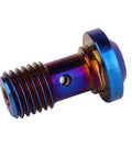 Titanium Banjo Bolts Beefy Yet Precise M10x20mm 1 To 1.25 Pitch Torx Head Brake Fitting Adapter Screw Burnt Blue Universal