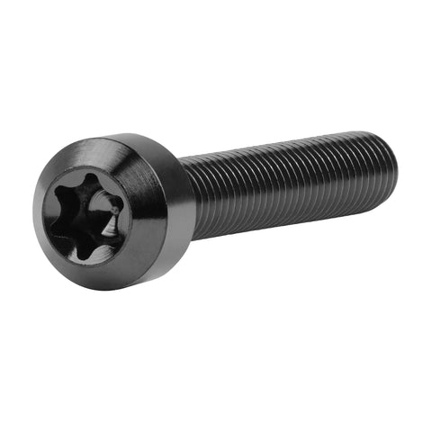 Wanyifa titanium Torx screw, M6 x 40mm, black finish, side view