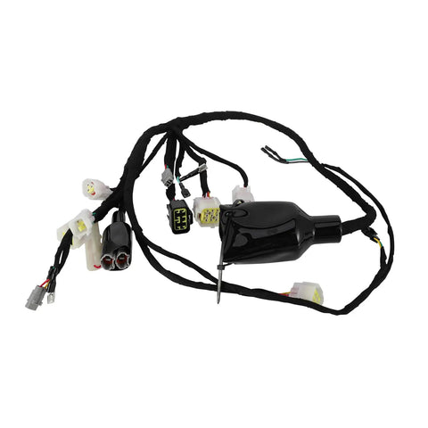 Plug And Play Full Main Wiring Harness Assembly For Sur Ron Light Bee X160 X260 Off Road Electric Dirt Bike Durable Copper Conductors Easy Install Direct Fit Replacement