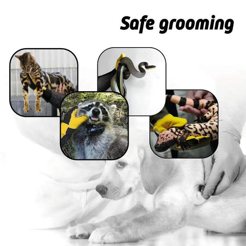 Handling snake, cat, raccoon, and lizard using Bite Proof Animal Handling Gloves With Kevlar Reinforcement And Leather Shield For Safe Grooming Dogs Cats Birds Snakes Raptors And More, Scratch Resistant, Black And Yellow, Sizes Small And Medium, Grips Like a Boss