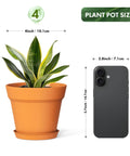 4 Inch Plastic Plant Pots With Drainage Holes And Trays, 8 Pack For Indoor And Outdoor Plants And Flowers, size comparison with phone