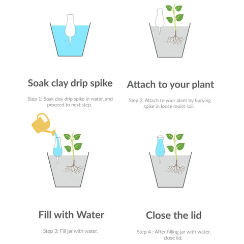 Illustration of using Extra Large Drip Irrigation Stakes No Fuss Easy Refill Four Week Watering System And Large Reservoir Bulbs For Automatic Self Watering Indoor And Outdoor Plants Plus Terracotta Feeder For Consistent Daily Hydration