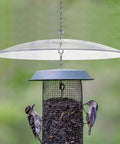 Weatherproof Outdoor Bird Feeder Cover Dome That Hangs As A Protection Shield over feeder with birds feeding