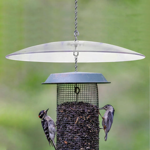Weatherproof Outdoor Bird Feeder Cover Dome That Hangs As A Protection Shield over feeder with birds feeding