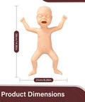 Premature Infant Simulator And NG Tube Insertion Trainer To Nail Your Clinical Game Realistic Neonatal Model dimensions 38cm tall, 21cm wide