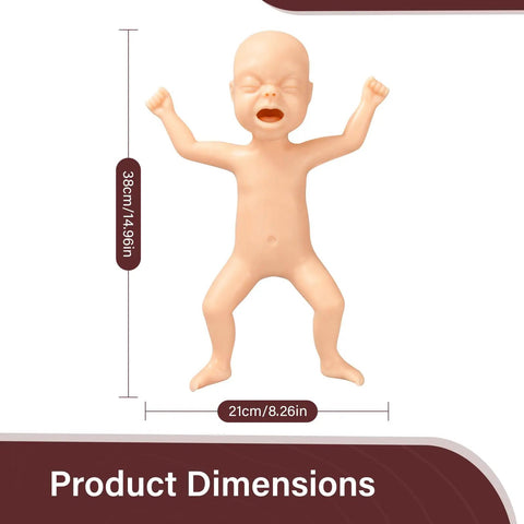 Premature Infant Simulator And NG Tube Insertion Trainer To Nail Your Clinical Game Realistic Neonatal Model dimensions 38cm tall, 21cm wide