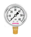 Glycerin Filled Pressure Gauge 0-60 PSI, 2 Inch Dial, 304 Stainless Steel Case, One Quarter Inch NPT Lower Mount for Water Air Hydraulic