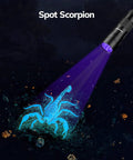 Ultraviolet Blacklight Flashlight Set Of 2 With 12 LED 395nm UV Light illuminating a glowing scorpion in the dark