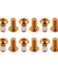 Orange Mountain Bike Rotor Bolts Set for Six Bolt Brakes Stainless T25 Steel Rust Resistant Hardware