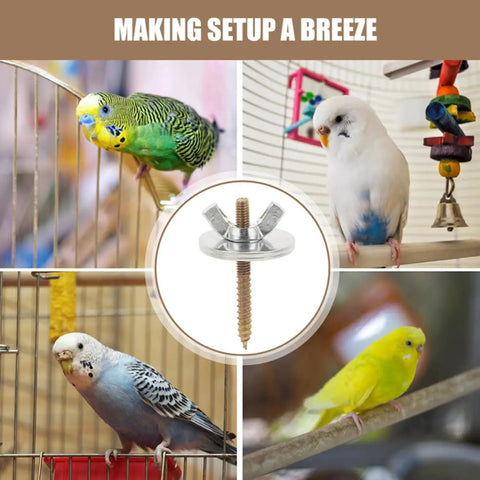 12 Sets Bird Cage Screws Fixing Kit For Stands And Cages Durable Silver Iron Hardware With Screws Cage Nuts Rails Perches And Springboards For Quick Assembly And Secure Mounts in bird cages