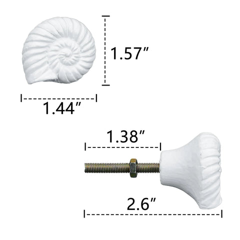 Size details of Six Pack Resin Beach Conch Cabinet Knobs In Antique White Finish, showing 3D shell pull handles measurements.