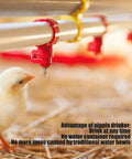 20 Pack Top Shelf Automatic Chicken Water Nipples With 360 Degree Stainless Steel Flow featuring a red nipple above a chick.
