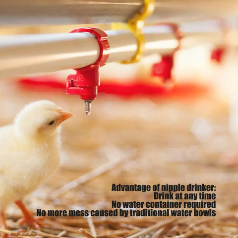 20 Pack Top Shelf Automatic Chicken Water Nipples With 360 Degree Stainless Steel Flow featuring a red nipple above a chick.