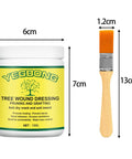 Pro Grade Bonsai Cut Paste Pruning Sealant With Brush For Tree Wound Repair And Grafting, Portable Wound Filler For Shrubs And Fruit Trees, Rain Resistant And Easy To Apply. 100g jar with brush