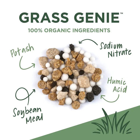 Image showing Grass Genie organic lawn fertilizer blend with labeled ingredients: potash, sodium nitrate, soybean meal, humic acid.