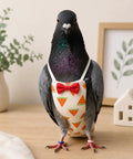 Pigeon wearing XL two pack pigeon diaper pants harness and leash for birds; features colorful design and bow on wooden surface.