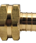 Beefy Brass Garden Hose Adapter Swivel Fitting Three Quarter Inch PEX Barb To Three Quarter Inch GHT Female Connector on white
