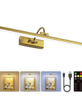 Next Level Wireless Picture Light For Wall With 8000Mah Battery And Remote For Large Portraits Sleek Brass Build mounted above artwork