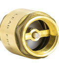 In Line Check Valve For Water Supply Lines 1 Inch IPS Threaded Connection Brass Body With Stainless Steel Spring For Backflow Prevention And Durable Plumbing Fitting Eastman 20405LF For Residential And Commercial Installations close-up showing brass construction and stainless spring