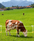 Farm field with cow grazing next to electric fence using 25 Pack T Post Insulators for Electric Fence Wire Heavy Duty Extended Chain