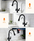 Kitchen Faucet 0196R in black finish showcasing stream, spray, and pause options over a stylish sink.