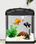 Acrylic V Shape Conical Aquarium Fish Feeder Cup For Live Red Worms Bloodworms And Brine Shrimp Eggs With Heavy Duty Suction Base in use with fish.