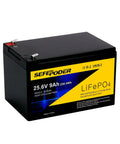 24V 9Ah LiFePO4 Deep Cycle Battery with Built In 30A BMS for lighting, scooters, ride on toys, power wheels and UPS under 600W, 3000 plus cycles