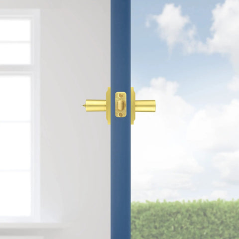Side view of Torrey Pines Entry Door Handle Reversible Lever With Keyed Lock and SmartKey Rekey Technology in Satin Brass on a door