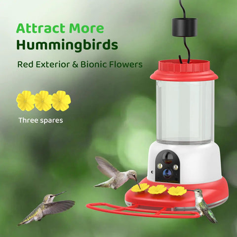 Dope Smart Hummingbird Feeder With Camera For Backyard Birding Solar Powered AI Identification 1080p Video Feed Ant Moat And Bee Proof 20oz