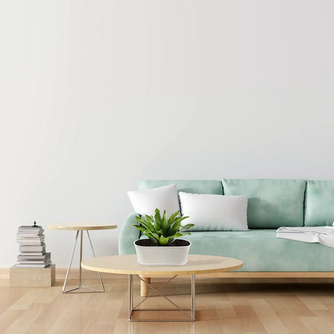 Five Pack White Herb Planter Boxes With Drip Trays Eight Point Five Inch Small Oval Window Planter on coffee table indoors