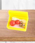Hands On Pendulum Science Kit For Kids And Students Kid Friendly Diy Physics Experiments Classroom Teaching Aids Portable