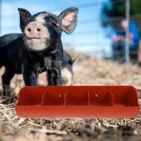 Heavy Duty Five Compartment Piglet Feed Trough With No Sweat Plastic Livestock Manger For Farm Hog Water And Dry Food Swine Station, red trough and piglet.