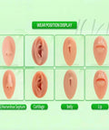 Piercing Taper Ball Grabber Tool Kit For Quick Jewelry Swaps display showing nostril, cartilage, belly, and lip positions.