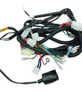 Complete GY6 Wiring Harness For 50cc 70cc 90cc 110cc 125cc 4 Stroke ATVs Mopeds Dirt Bikes Go Karts Ride Ready Replacement Upgrade TaoTao VIP 139QMB Compatible with Various 50cc to 125cc Engines showing connectors and wires